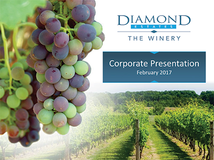 Diamond Estates Investor Presentation February 2017