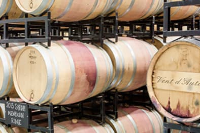 Niagara Winery Cellar Floor Tasting Experience