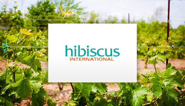 Hibiscus International | Hilton Garden Inn NOTL